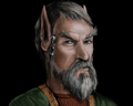 A portrait of a male elf in Wizardry 8